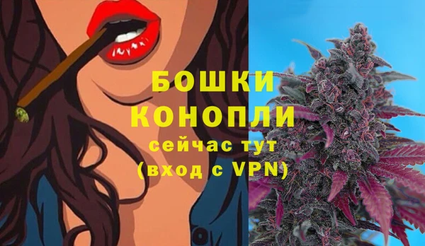 амф Пестово