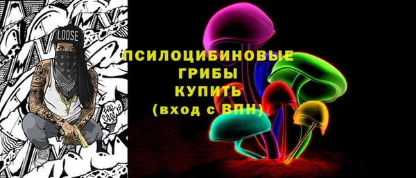 дурь Алексеевка