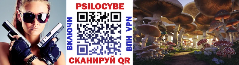 что такое наркотик  Жуков  Псилоцибиновые грибы Cubensis 